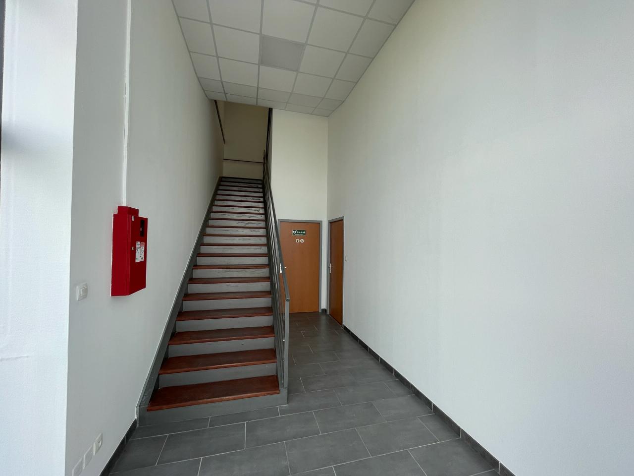 Local d'activité Colomiers 514m² Location local d'activité Colomiers Haute-Garonne OLACT2314340 4